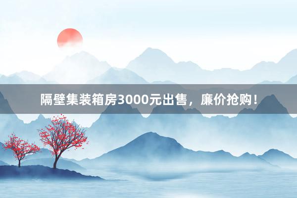 隔壁集装箱房3000元出售,廉价抢购!